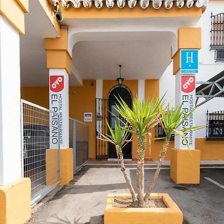 Oyo Hostal El Paisano ウトレラ エクステリア 写真
