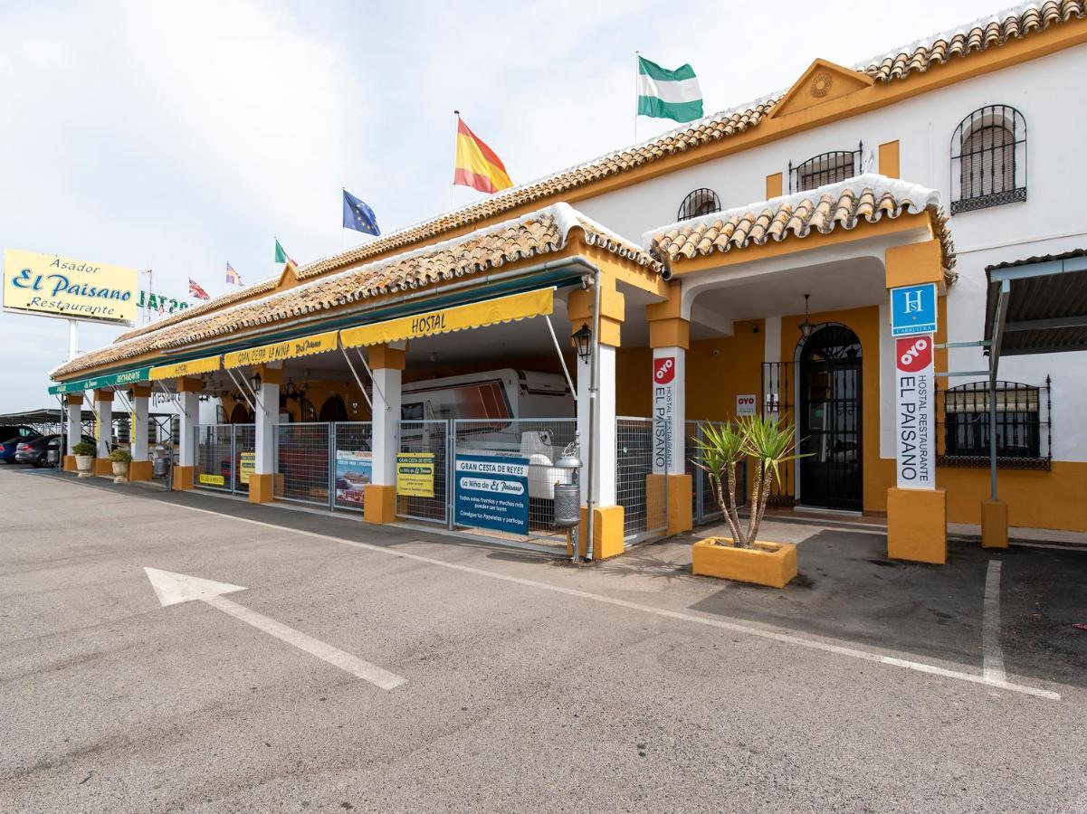 Oyo Hostal El Paisano ウトレラ エクステリア 写真